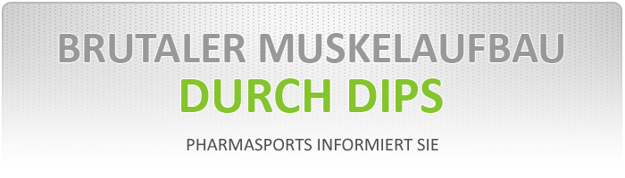 Muskelaufbau durch Dips bzw. Beugest&uuml;tz