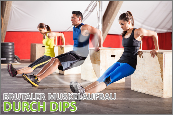 Muskelaufbau durch Beugest&uuml;tz bzw. Dips bei Pharmasports