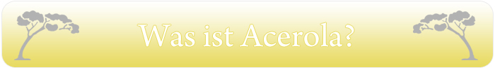 Was ist Acerola? Eine Zutat aus Pro Natural Nat&uuml;rliches Vitamin C